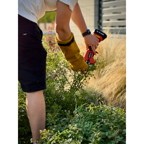 RĘKAWICE OGRODOWE DO PRZYCINANIA RÓŻ ROZM. 10 - MĘSKI 74144