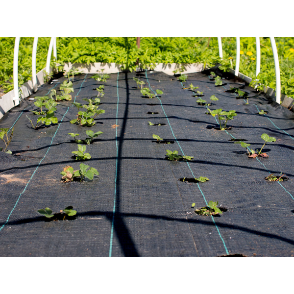 AGROTKANINA CZARNA 1,6 X 10 GRAMATURA 70G/M2 91046