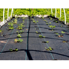AGROTKANINA CZARNA 1,6 X 20 GRAMATURA 70G/M2 91048