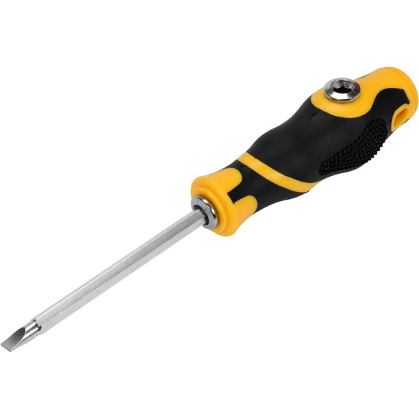 WKRĘTAK DWUSTRONNY PH2X6MM 64952