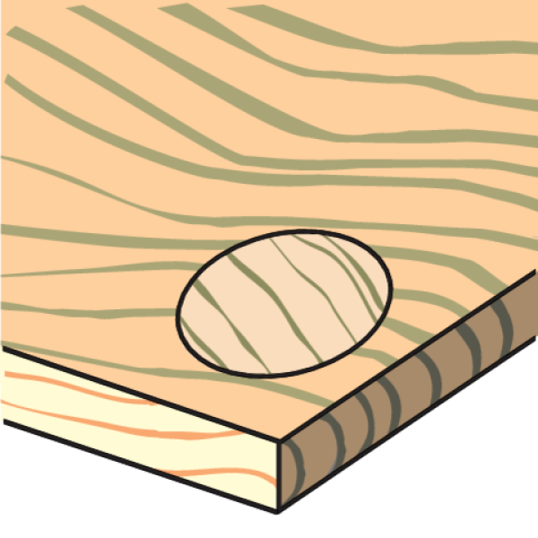 ZESTAW FLEKOWNIK-SĘKOWNIK DO DREWNA 15-35MM 10SZT. YT-33837