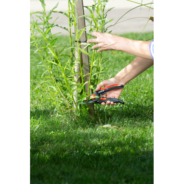 SEKATOR NOŻYCOWY 210 MM YT-8809