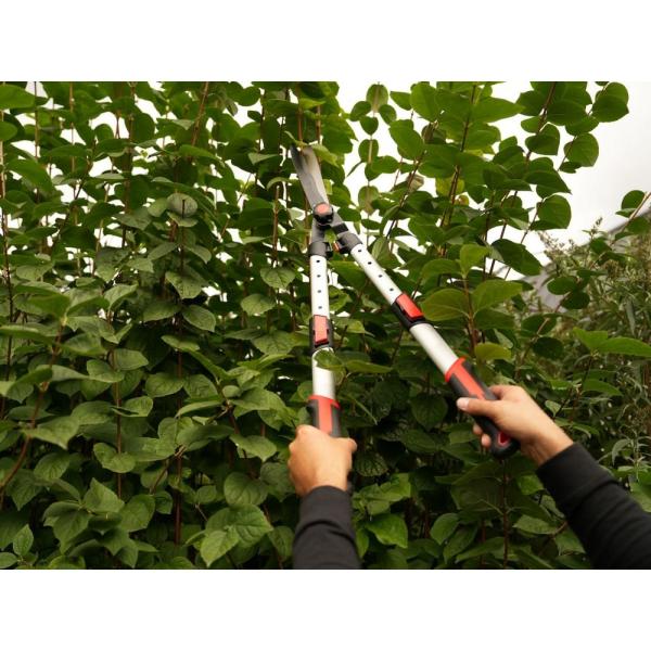 NOŻYCE DO ŻYWOPŁOTU FALISTE TELESKOPOWE ALUMINIOWE YT-88213