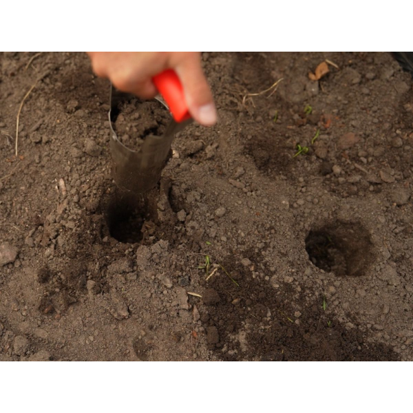 SADZARKA DO CEBULEK NIERDZEWNA YT-88750