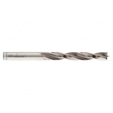 Wiertło ALPEN-MAYKESTAG 0063300600100