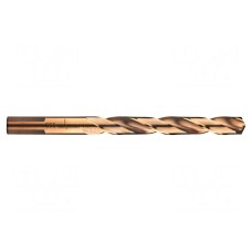 Wiertło ALPEN-MAYKESTAG 0065601900100