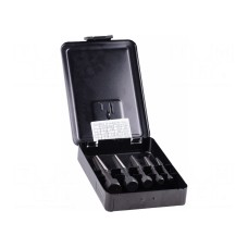 Zestaw narzędzi: wykrętaki ALPEN-MAYKESTAG 0000902003100