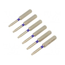 Końcówka wkrętakowa BERNSTEIN 6-TX10-50