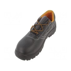 Półbuty BETA 7241CK/41