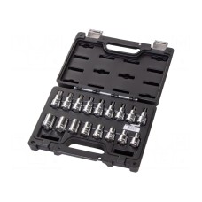 Klucz-zestaw BETA BW923E-FTX/C17