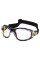 Gogle ochronne DELTA PLUS PACAYSTIN