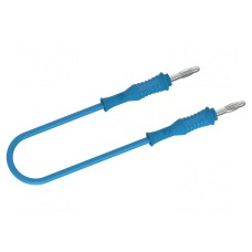 Przewód pomiarowy ELECTRO-PJP 2010-150BL