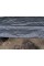 AGROTKANINA 70 G - 1,6X50M 91050