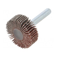 Ściernica PG PROFESSIONAL RG.002