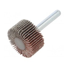 Ściernica PG PROFESSIONAL RG.004