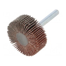 Ściernica PG PROFESSIONAL RG.012