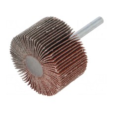 Ściernica PG PROFESSIONAL RG.021