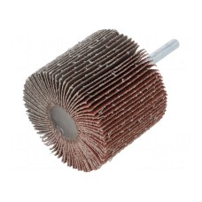 Ściernica PG PROFESSIONAL RG.028