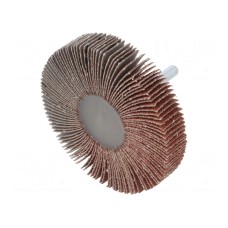 Ściernica PG PROFESSIONAL RG.029