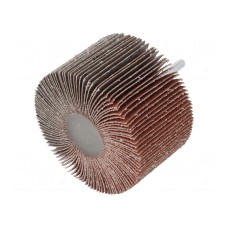 Ściernica PG PROFESSIONAL RG.034