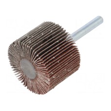 Ściernica PG PROFESSIONAL RG.050