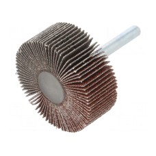 Ściernica PG PROFESSIONAL RG.054