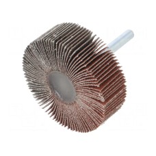 Ściernica PG PROFESSIONAL RG.059