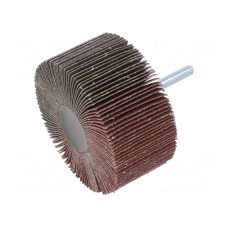 Ściernica PG PROFESSIONAL RG.068