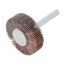 Ściernica PG PROFESSIONAL RG.081