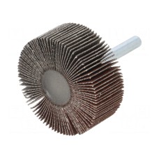 Ściernica PG PROFESSIONAL RG.089