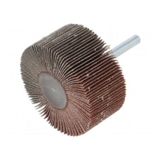 Ściernica PG PROFESSIONAL RG.096