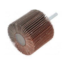 Ściernica PG PROFESSIONAL RG.098