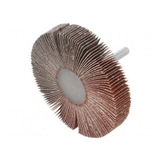 Ściernica PG PROFESSIONAL RG.099