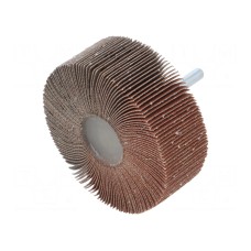 Ściernica PG PROFESSIONAL RG.102