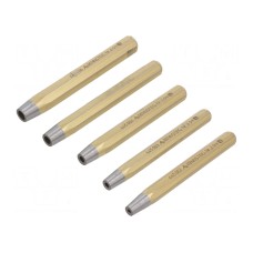 Zestaw narzędzi: zakuwak do nitów RENNSTEIG 445 100 0