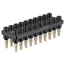 Listwa gniazdowa STÄUBLI BL2-12/20/A-21