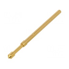 Igła testowa TEKON TK 32N 06 2,00 S 170 A