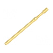 Igła testowa TEKON TK 32N 10 2,00 S 170 A