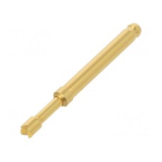 Igła testowa TEKON TK36N.02.2,50.S.170.A