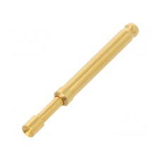 Igła testowa TEKON TK36N.09.2,50.S.170.A