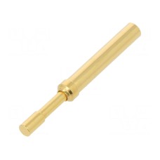 Igła testowa TEKON TK37N.10.2,30.M.300.A