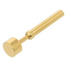 Igła testowa TEKON TK37N.10.6,50.M.300.A