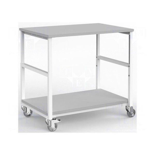 Wózek RT WORK RT-TB/ESD/100/70/W-2