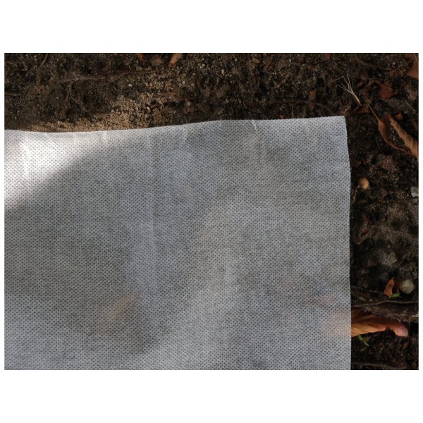 AGROWŁÓKNINA 50 G - 1,6X50M 91003