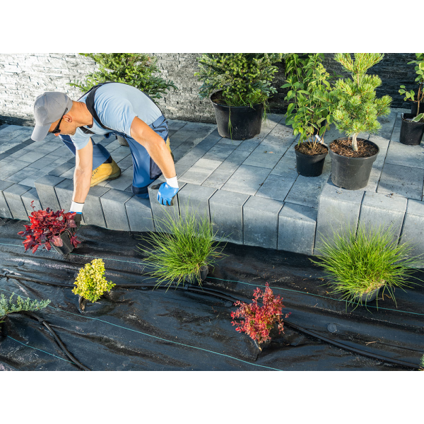 AGROTKANINA CZARNA 1,6 X 10 GRAMATURA 90G/M2 91047