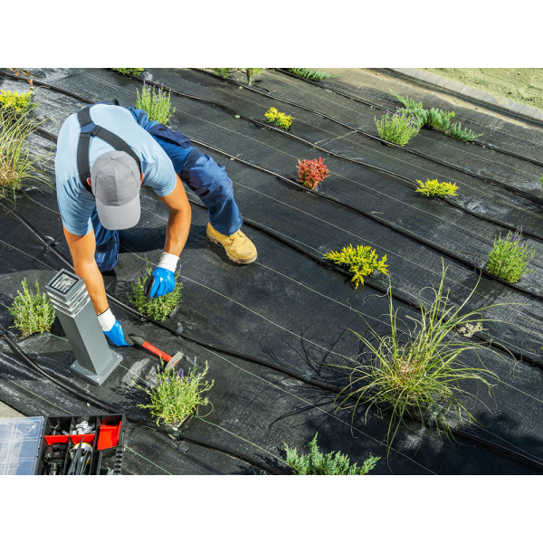 AGROTKANINA 70 G - 1,6X50M 91050