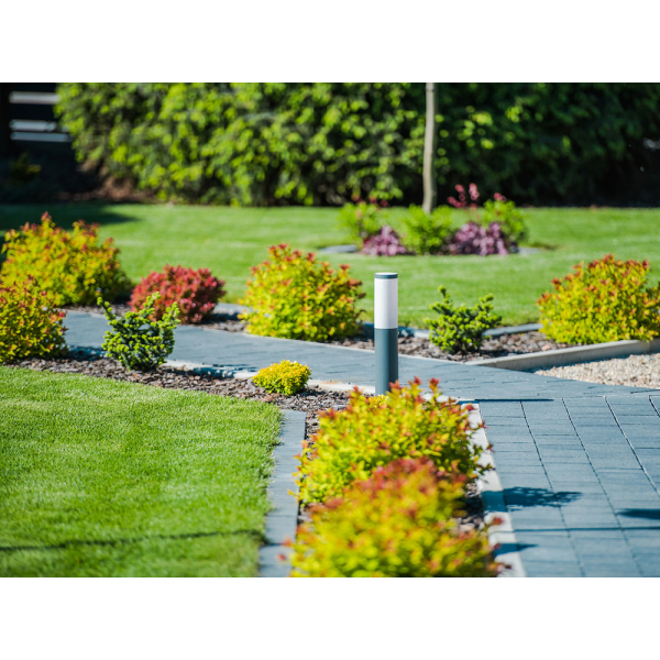 AGROTKANINA 70 G - 1,6X50M 91050