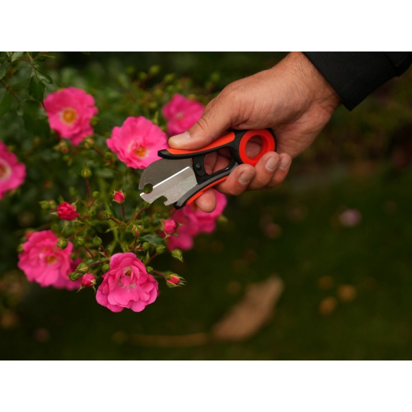 NOŻYCZKI FLORYSTYCZNE DO USUWANIA KOLCÓW 13CM YT-87850
