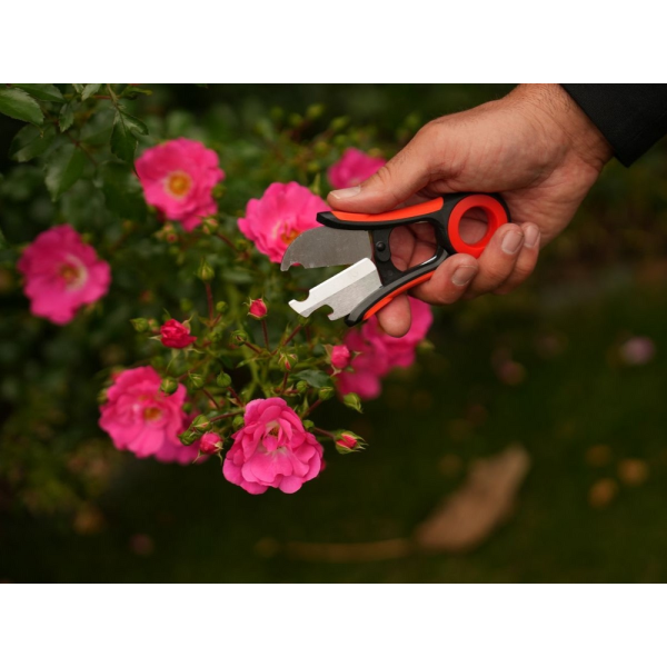 NOŻYCZKI FLORYSTYCZNE DO USUWANIA KOLCÓW 13CM YT-87850