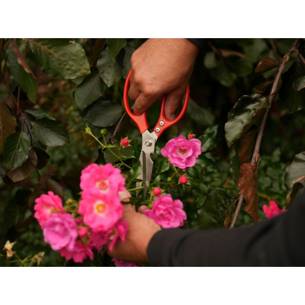 NOŻYCZKI OGRODNICZE ZE STALI NIERDZEWNEJ 215MM YT-87861